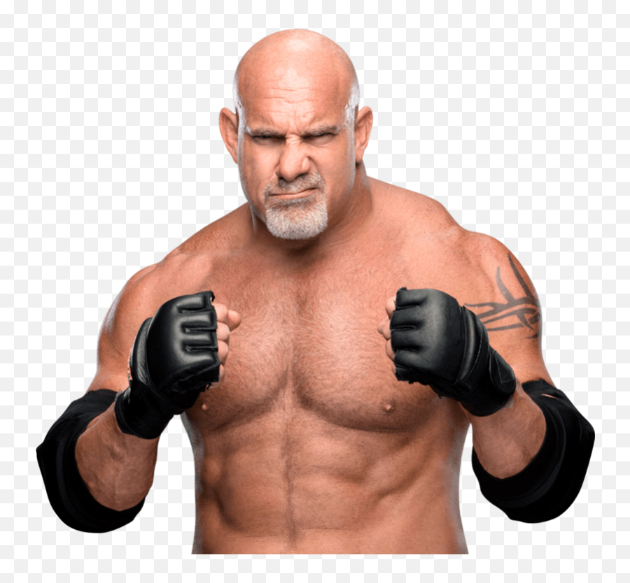 Png Bill - Goldberg Universal Champion Png,Goldberg Png