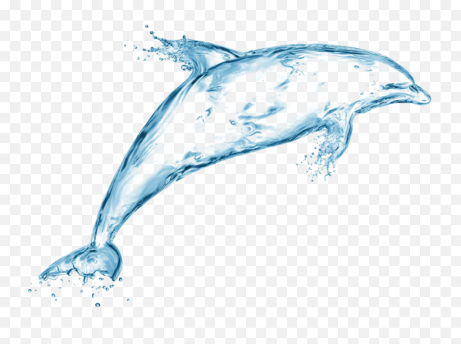 Ftestickers Fantasyart Water Sticker By Pennyann - Dolphin In Water Sketch Png,Dolphin Transparent