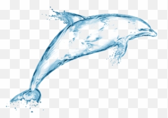 Ftestickers Fantasyart Water Sticker By Pennyann - Dolphin In Water Sketch Png,Dolphin Transparent