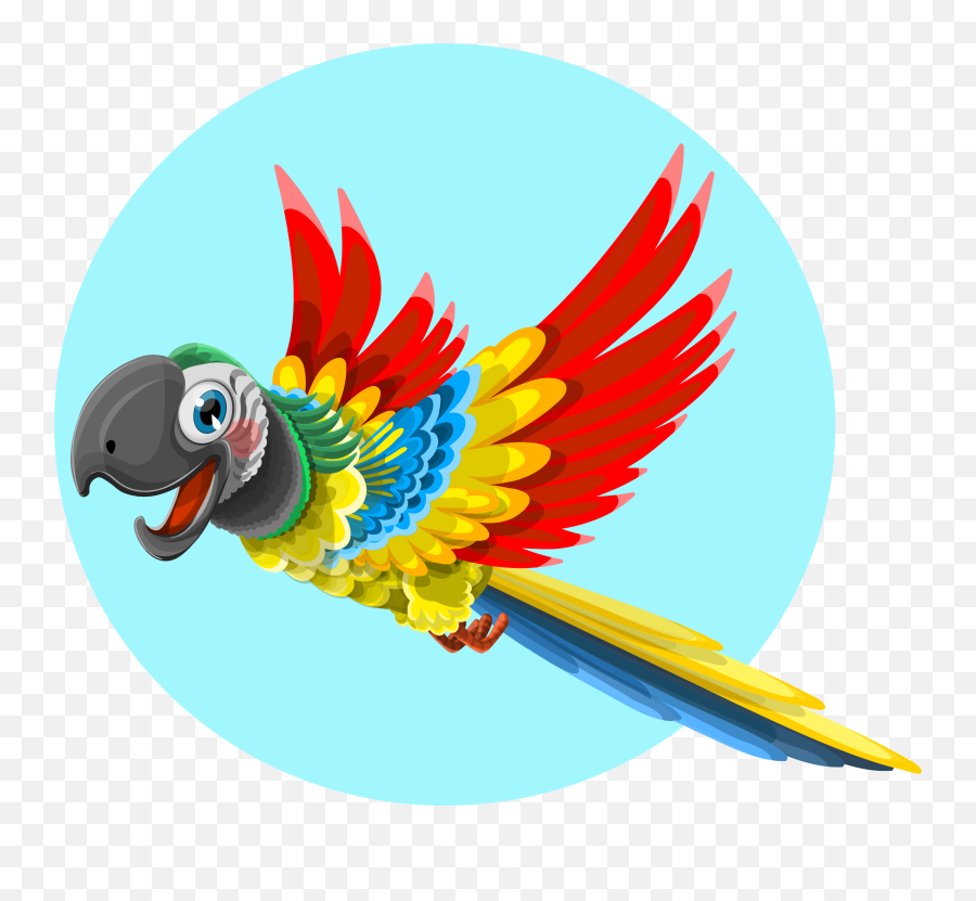 3 Free Parrot Bird Images - Flying Cartoon Parrot Drawing Png,Parrot Transparent
