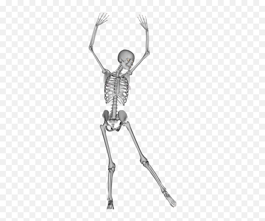 Transparent Bone Skeleton Dance - Transparent Dancing Transparent Dancing Skeleton Png,Skelton Png