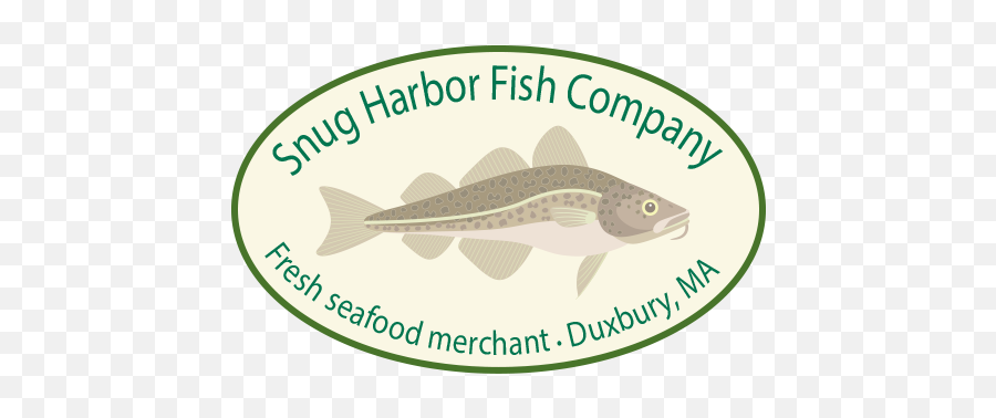 Download Hd Snug Harbor Fish Company - Casuarina Primary Miller High Life Girl Png,School Of Fish Png