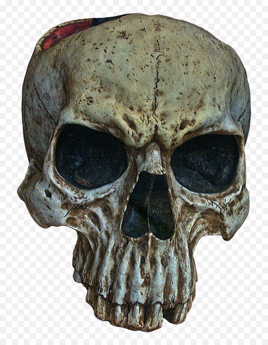 Skull And Crossbones - Free Image On Pixabay Skull Horror Png,Skull Crossbones Png