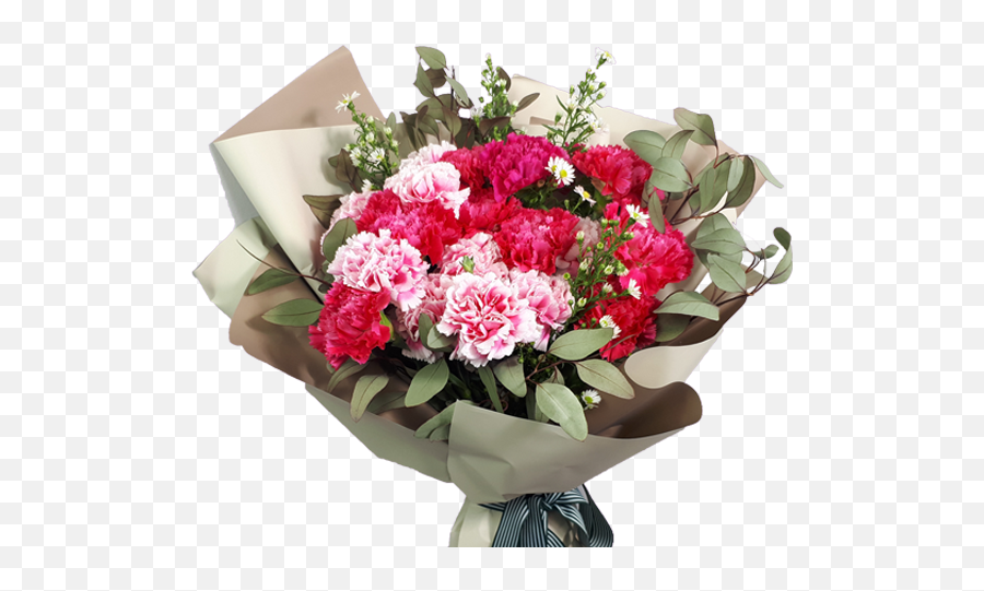 Carnation Png - Carnation Bouquet Flowers For Teachers Uk Rose Nursery Plants Png,Carnation Png