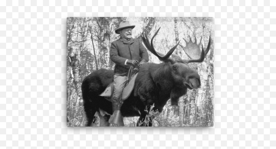 Download Hd Teddy Roosevelt Riding A Bullmoose Canvas - Teddy Roosevelt Riding Moose Png,Moose Transparent