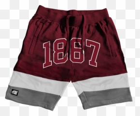 1867 Morehouse Outkast Fleece Short - Norfolk State Shorts png