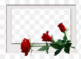 Vintage Floral Frame - Frames Flowers Transparent Png Birthday And Borders