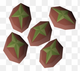 Redwood Tree Seed - Red Wood Seed Png,Redwood Tree Png