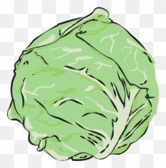 Vegetables Transparent Png - Cabbage Vegetables Clean Png Vector
