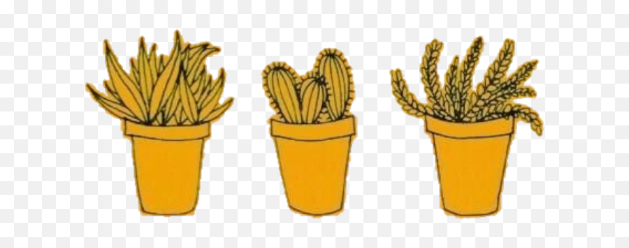 Yellow Cactus Png Image With No - Amarillo Png,Tumblr Cactus Png