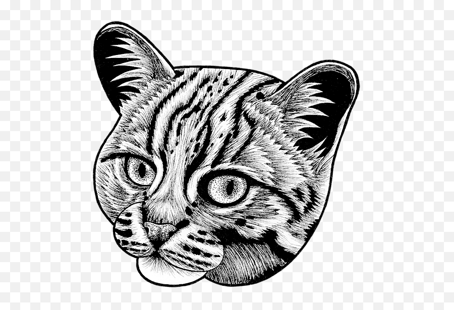 Rusty Spotted Cat Face Mask For Sale - Domestic Cat Png,Cat Face Transparent