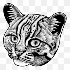 Rusty Spotted Cat Face Mask For Sale - Domestic png