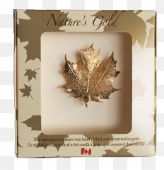 Maple Leaf Brooch - Gold Brooch Canadian Maple Leaf Png,Canada Maple Leaf Png