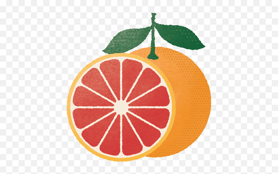 Blood Orange - Thatcheru0027s Organic Artisan Spirits Tangerine Broadband Logo Transparent Png,Thatcher Icon