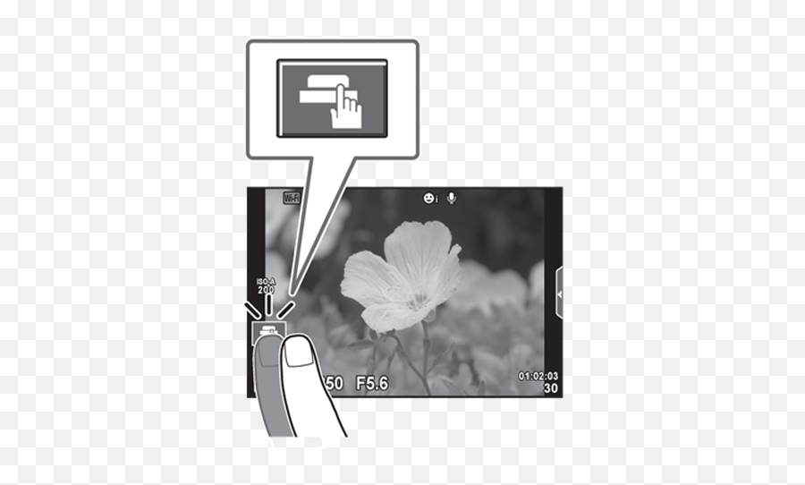 My Camera Doesnu0027t Focus Or Take A Photo When Touching The - Evening Primroses Png,Photography Icon Set