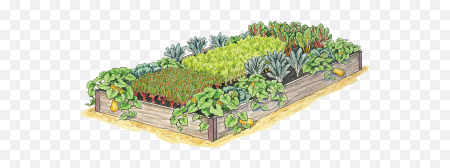 Giving Garden - Vegetable Garden Png,Potting Soils Icon