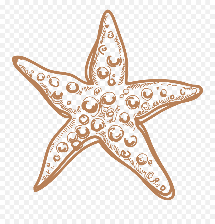 Sea Star Png Image Background Arts - Megood Peva,Star Background Png