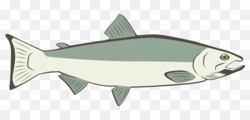 Sportfishing U2013 Angry Eagle Lodges U0026 Outfitters Png Salmon Icon
