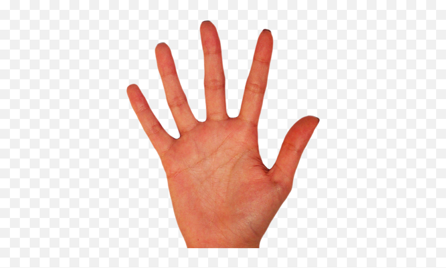 Palm Hands Png Hand Image Free - Somatosensory System In The Hand,Hand Palm Png