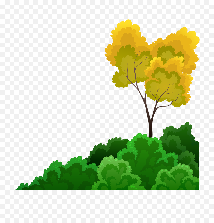 Shrubs And Tree - Download Free Vectors Clipart Graphics Arboles Rey Leon Png,Sky Vector Png