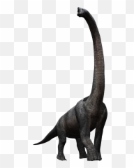 Download Hd Image Library Stock - Jurassic World Dark Continent Png,Brachiosaurus Png