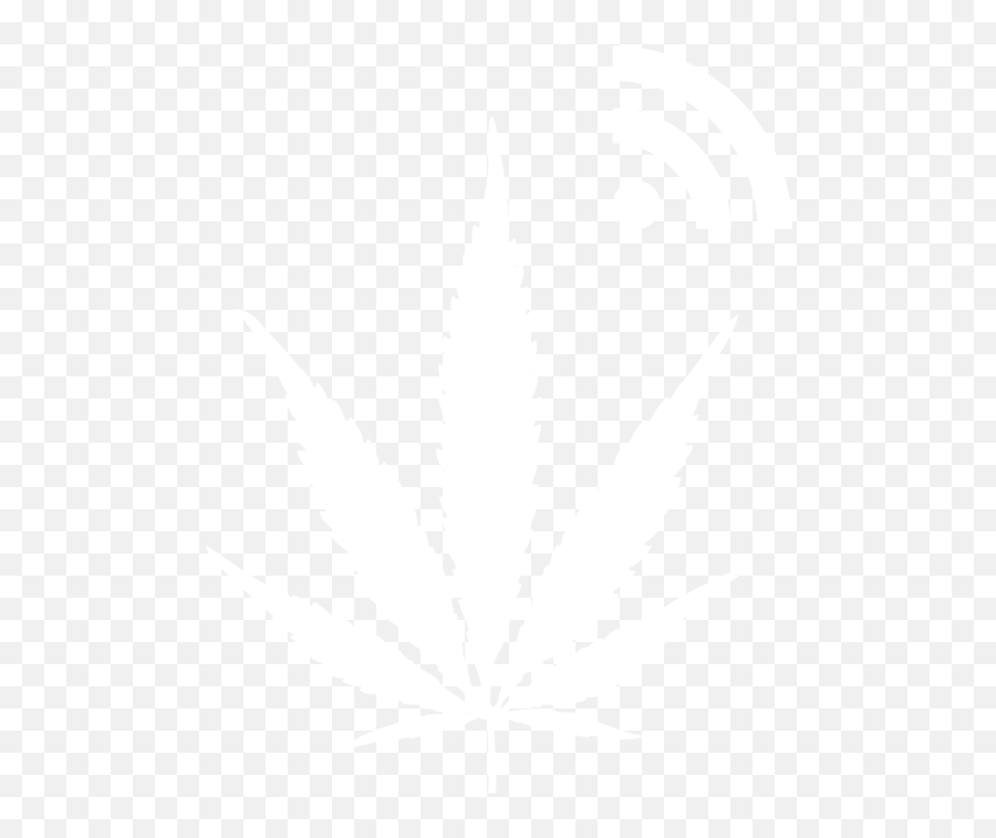 Black Pot Leaf Png - Immediate Relief From Toothache Pain Cannabis Leaf,Pot Leaf Transparent