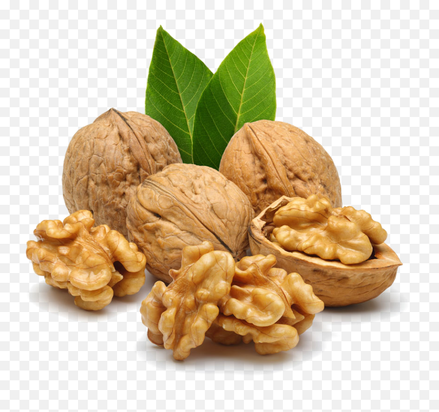 Nut Free Png Image Arts - Walnut Png,Nuts Png