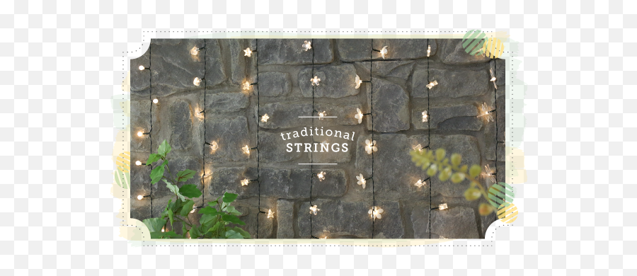 Traditional Fairy Lights Dont Need - Screenshot Png,Fairy Lights Transparent Background