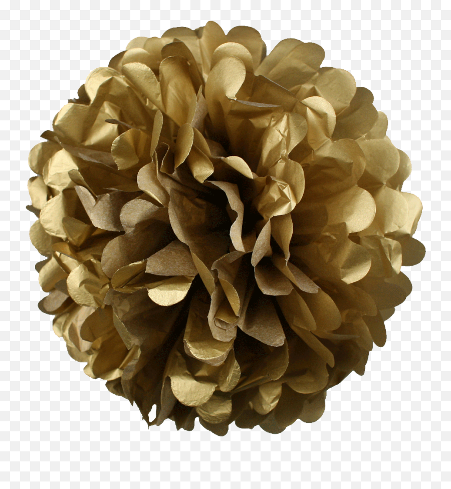 10 Inch Tissue Paper Flower Pom Poms Pack Of Gold Full - Pom Poms Gold Png,Pom Pom Png