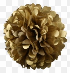 10 Inch Tissue Paper Flower Pom Poms Pack Of Gold Full - Pom Poms Gold Png,Pom Pom Png