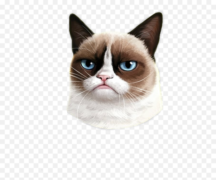 Grumpy Cat Png - Grumpy Cat Png,Grumpy Cat Png