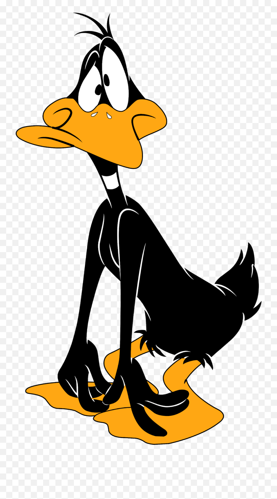 Daffy Duck - Daffy Duck Surprised Png,Daffy Duck Png