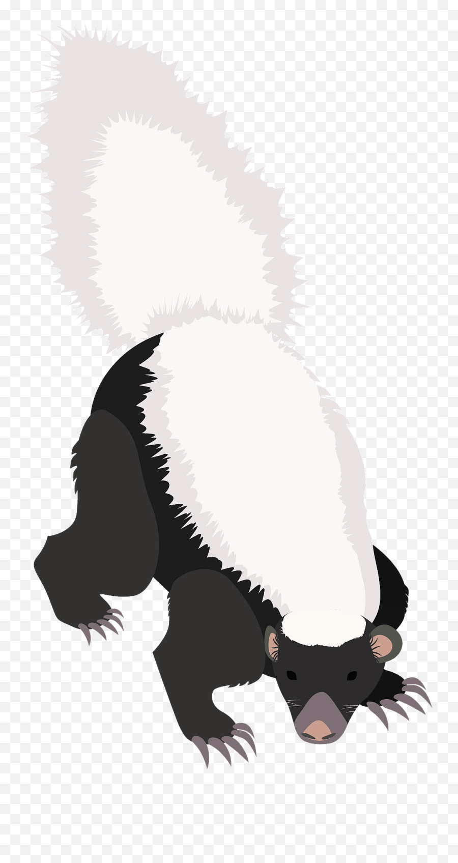 American Hog - American Hog Nosed Skunk Png,Hog Png