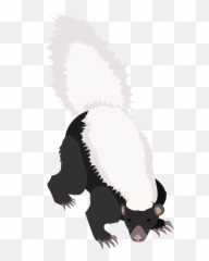 American Hog - American Hog Nosed Skunk Png,Hog Png
