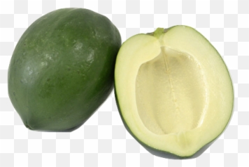 Green Papaya Tea - Superfood Png,Papaya Png