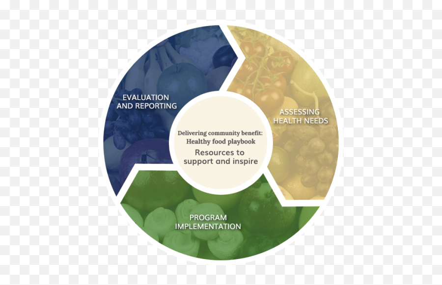 Delivering Community Benefit Healthy Food Playbook - Life Cycle Of India Png,Healthy Png