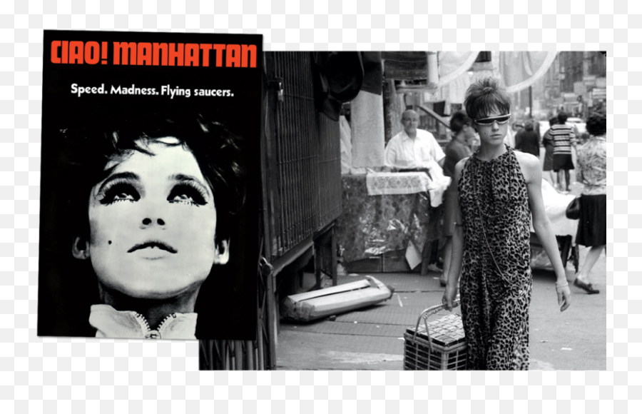A Brief - Edie Sedgwick Png,Bianca Jagger Style Icon