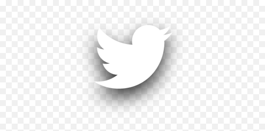 Twitter Png And Vectors For Free - White Twitter Logo Png,Twitter Icon Png