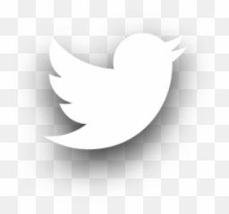 Free Transparent Twitter Icon White Png Images Page 1 Pngaaa Com