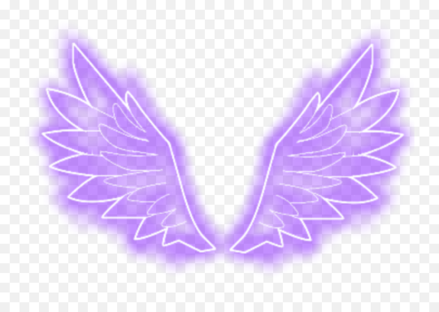 Wings Png Transparent Images All - Neon Angel Wings Png,Angel Wings Png