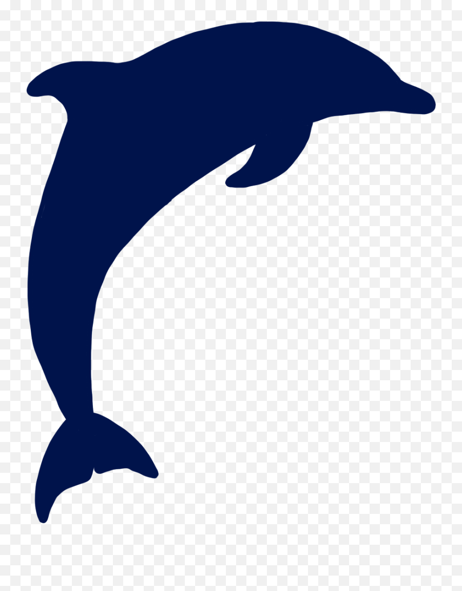 Teamfsu - 2020igemorg Common Bottlenose Dolphin Png,Dolphin Browser Icon Png