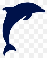 Teamfsu - 2020igemorg Common Bottlenose Dolphin png