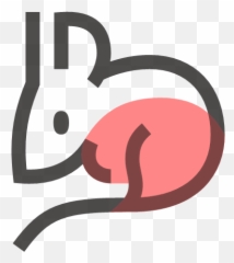 Rat Icon - Chinese New Year Red Icon png