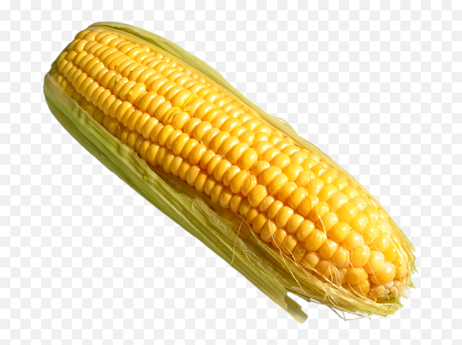 Corn Flakes Organic Food Vegetarian Cuisine Sweet Maize - Png Corn On The Cob,Corn Clipart Png
