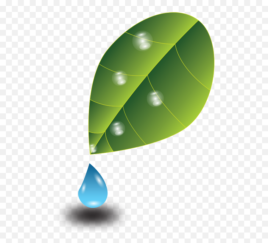 Parachute Oil Bottle Green Leaves - Drop Png,Oil Drop Png