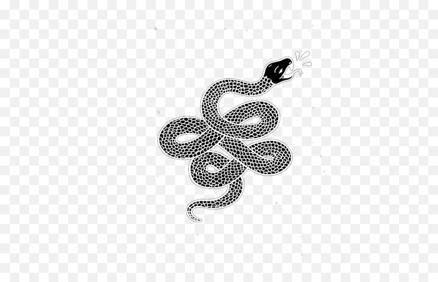 Download - Snake Png,Snake Transparent Background
