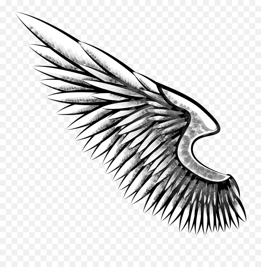 Tribal Angel Wings Tattoo Design By Wearwolfclothing  Easy Angel Wings  Tattoo  Free Transparent PNG Clipart Images Download