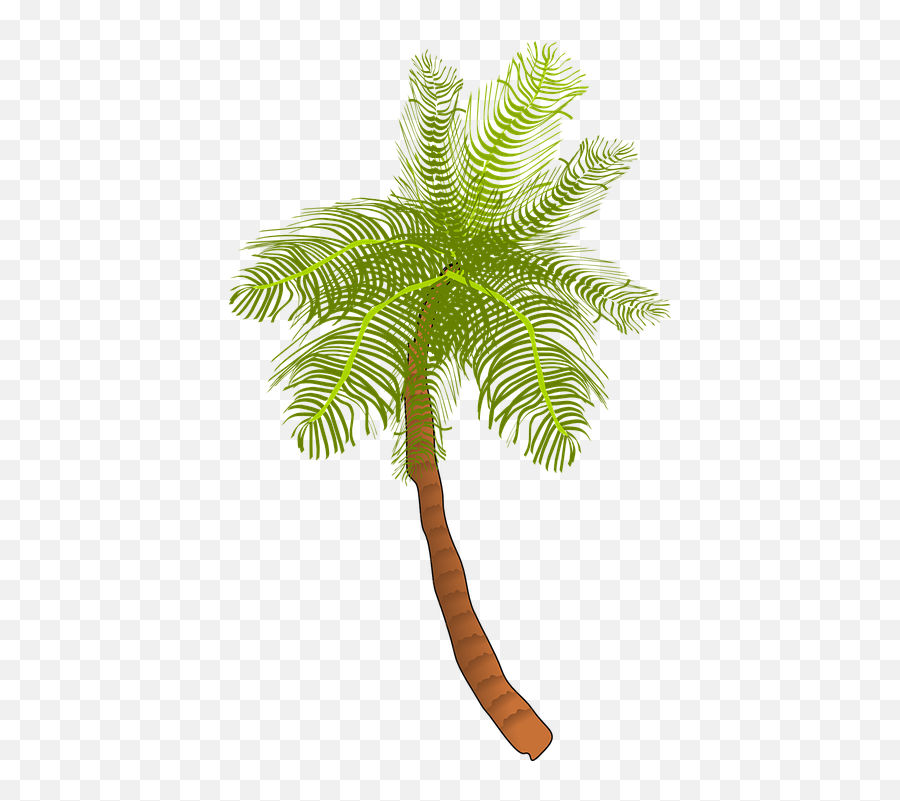 Palm Tree Ocean - Free Vector Graphic On Pixabay Coconut Tree Clip Art Png,Palms Png