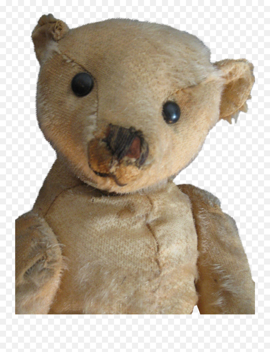 Antique 16 Beige Steiff Bear - Animal Figure Png,Blank Button Png