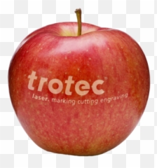 Natural Branding Laser Marking Fruits And Vegetables - Trotec Speedy 100 Png,Fruit Logo
